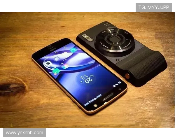 WE战队实力大变革引发热议CSGO未来发展趋势分析